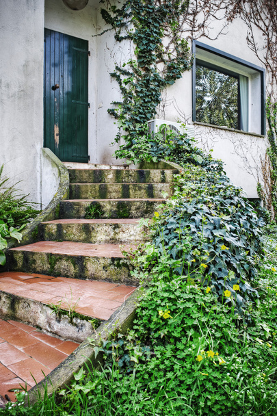 merdiven ve sarmaşık yaprakları - Fotoğraf, Görsel