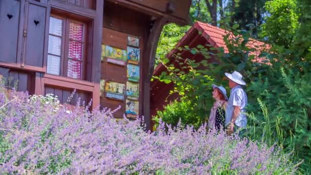 Starší pár stojí před včelín - Záběry, video