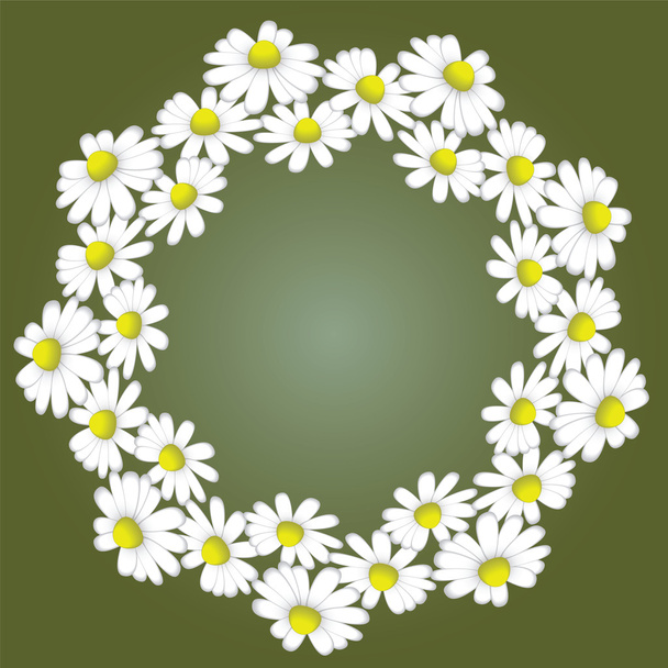 a wreath of white daisies on a green background - Vector, Image