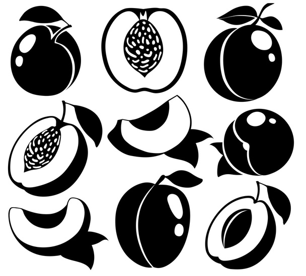 Векторные черно-белые персики и абрикосы
 - Вектор,изображение