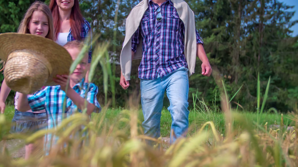 Aile buğday tarlada yürüyor  - Video, Çekim