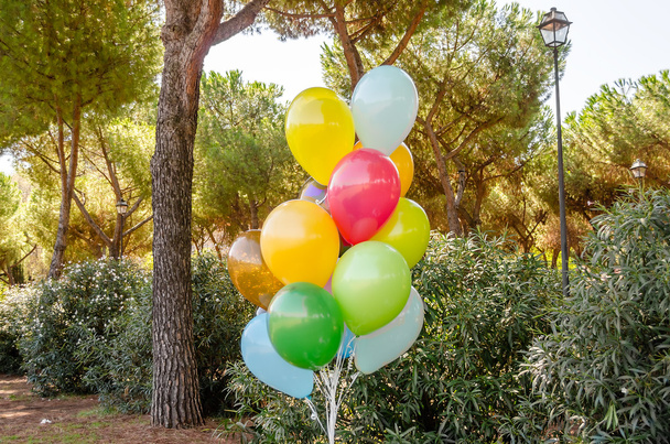Kilka kolorowych balonów helem - Zdjęcie, obraz