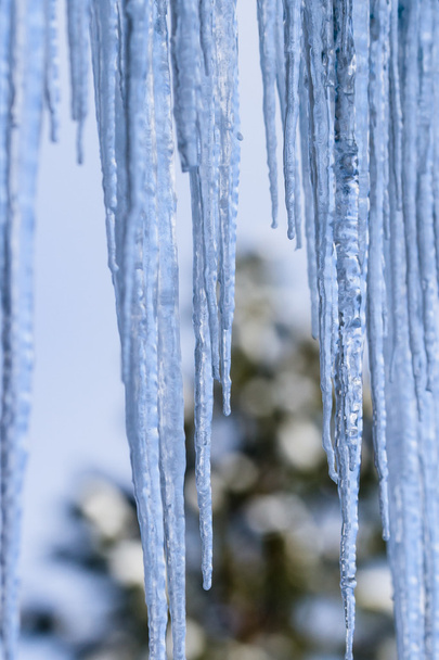 Patterns and texture on Icicles  - Photo, Image