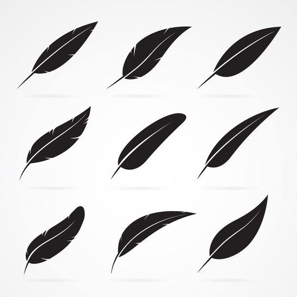 Vector group of feather on white background - Vector, Image