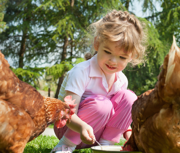 Menina alimentando galinhas
 - Foto, Imagem