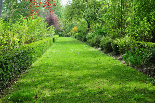 Green path - Photo, Image