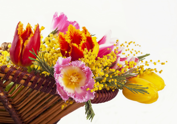 Bouquet of the fresh tulips - Foto, imagen