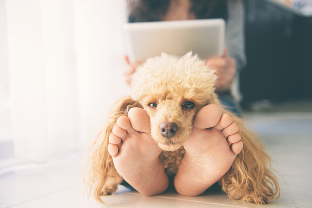 Young women is resting with a dog on the floor at home and using tablet . - Photo, Image