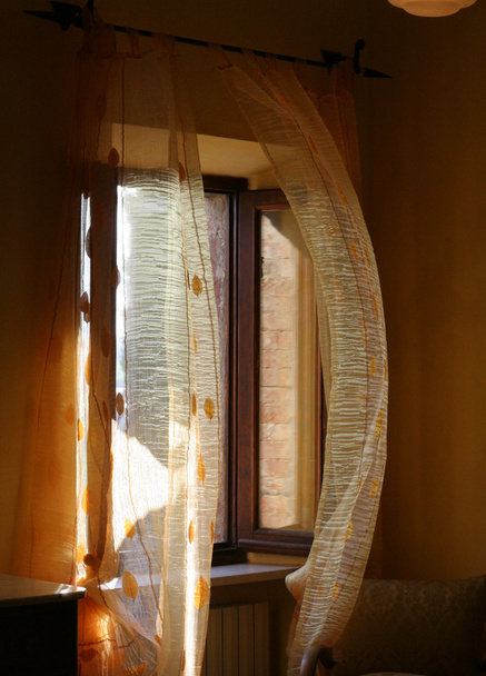 Window and curtains - Фото, изображение