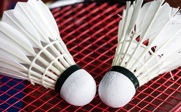 Close up shuttlecock on badminton rackets  - Photo, Image