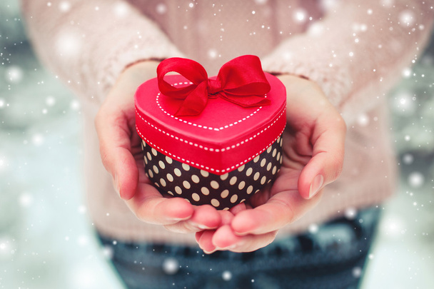 Female hands holding a gift box - Photo, Image