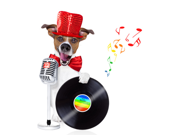 σκύλος τραγούδι με μικρόφωνο - Φωτογραφία, εικόνα