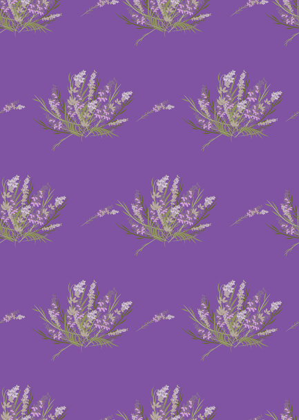 Patrón retro de lavanda floral
 - Vector, imagen