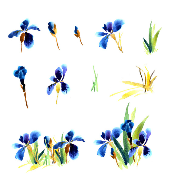 Floral pattern with flowers - Valokuva, kuva