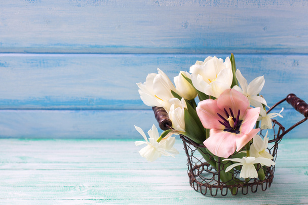 bílé a růžové tulipány - Fotografie, Obrázek