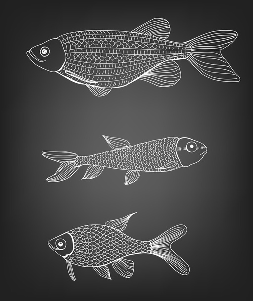 peixes desenhados à mão
 - Vetor, Imagem