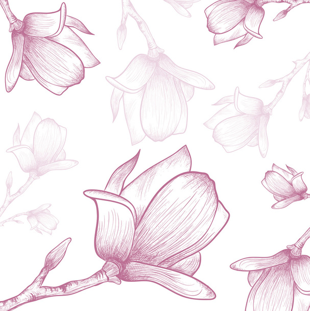 Magnolia Flower Background - Vector, Image