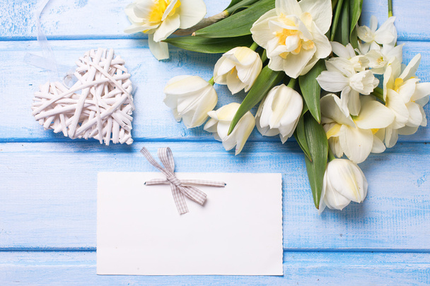 White daffodils flowers - Valokuva, kuva