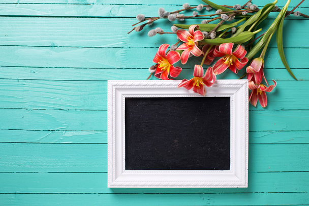 red tulips and  empty blackboard - Foto, Imagem