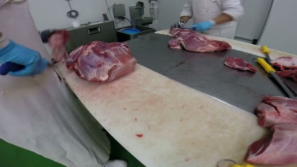 Δύο κρεοπώλες στην εργασία στη βιομηχανία κρέατος - Πλάνα, βίντεο