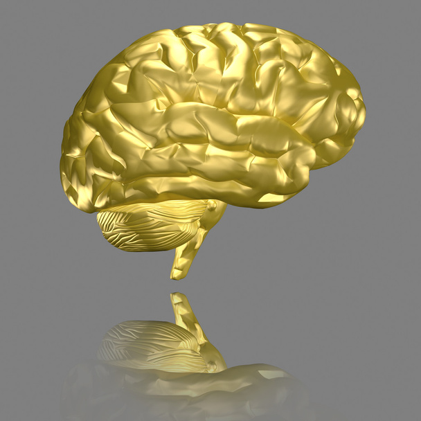 Gehirn - Gold - Foto, Bild