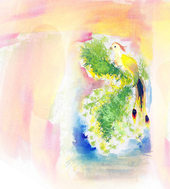 Colorful watercolor paint bird illustration - Фото, изображение