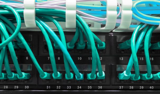 Close up van blauwe netwerkkabels aangesloten op patch panel - Foto, afbeelding