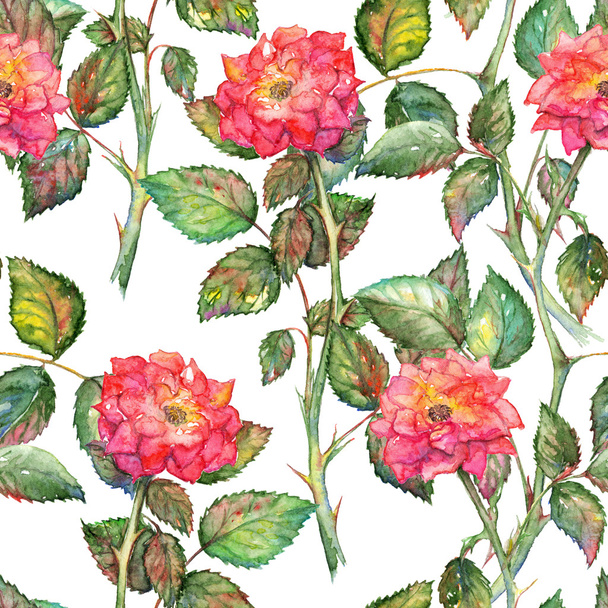 Ακουαρέλα ροζ τριαντάφυλλα άνευ ραφής μοτίβο υφή φόντου - Φωτογραφία, εικόνα