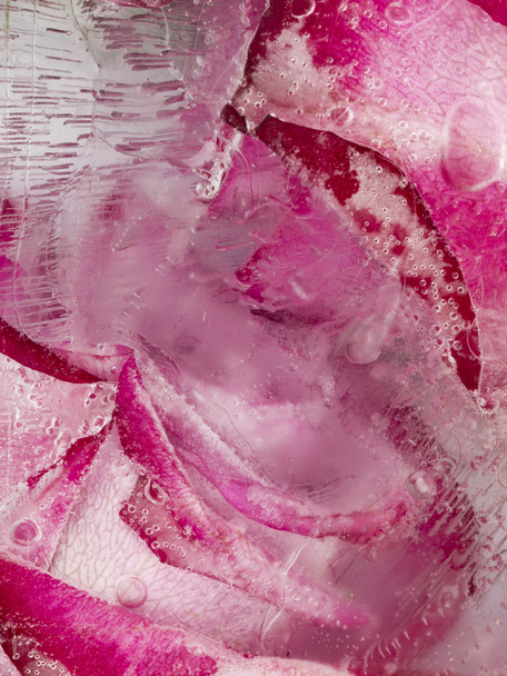 Vertical Bright abstraction with flowers in ice - Foto, Imagen