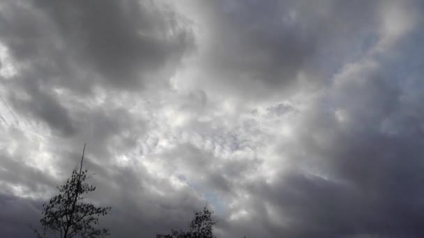 Imágenes de lapso de tiempo de nubes oscuras moviéndose a través del cielo y árboles desnudos
 - Metraje, vídeo