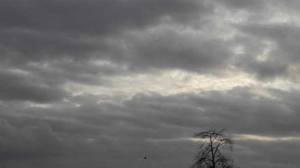 Imagens de tempo-lapso de nuvens escuras que se movem através do céu e árvores nuas
 - Filmagem, Vídeo