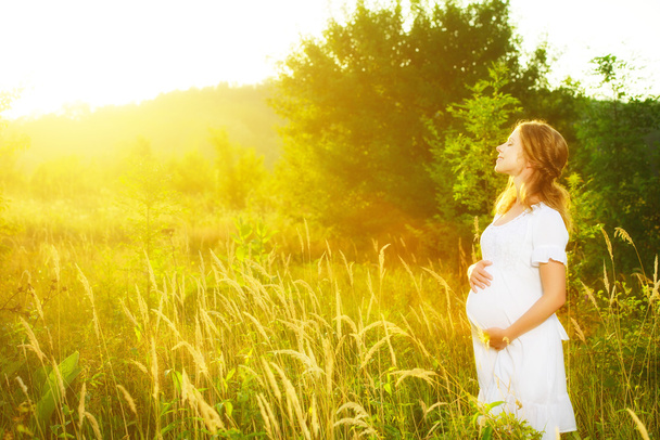 bela mulher grávida no verão natureza prado no pôr do sol
 - Foto, Imagem