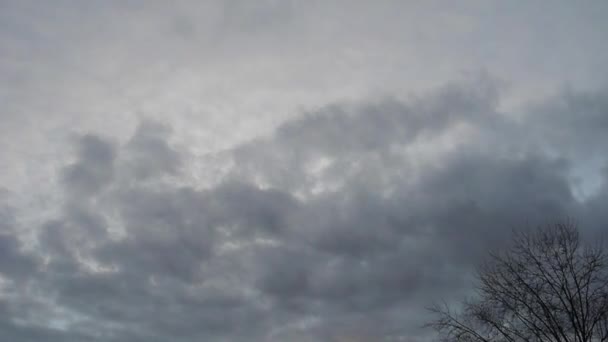Kara bulutlar gökyüzü - ve çıplak ağaçlar arasında hareket hızlandırılmış görüntüleri - Video, Çekim