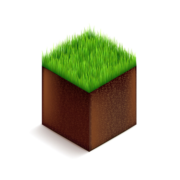 Куб травы изолирован на белом векторе
 - Вектор,изображение