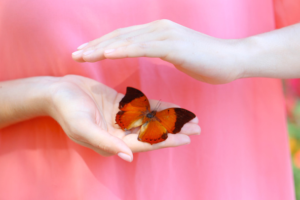 Kleurrijke vlinder in vrouwelijke handen - Foto, afbeelding