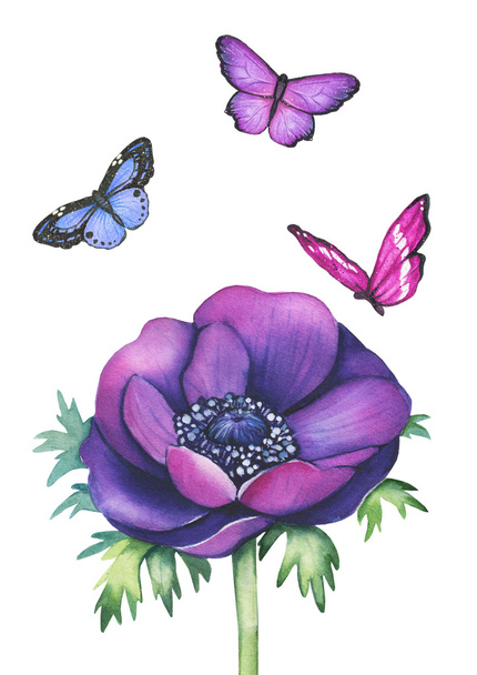 Watercolor anemone flower with butterflies - Foto, afbeelding