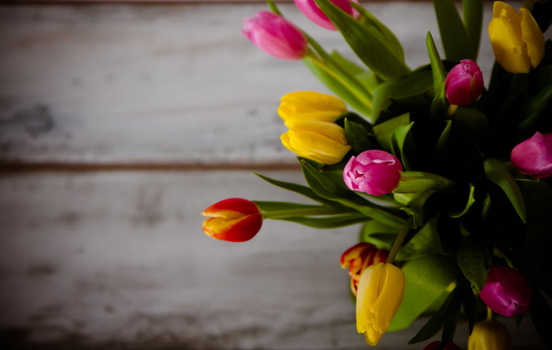 tulipas coloridas em um fundo escuro
 - Foto, Imagem