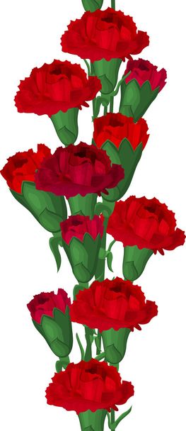 Seamless vertical border with red carnations - Vector, Imagen