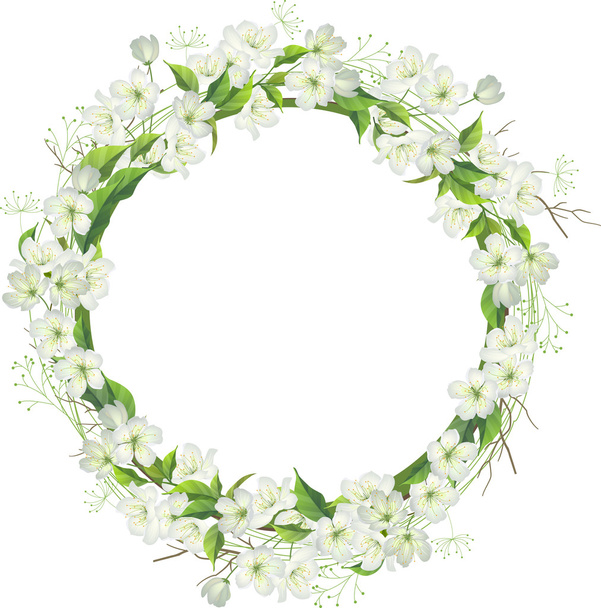Wreath made of blossoming  apple branch - Vecteur, image