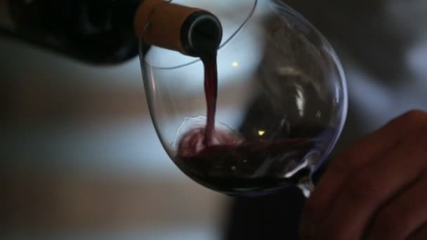 Sommelier şarap cam içine dökme - Video, Çekim