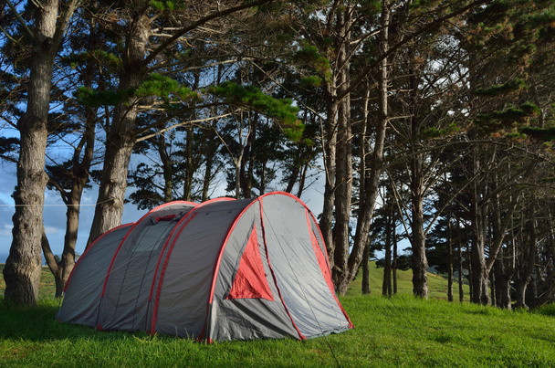 Harmaa ja punainen teltta retkeily ulkona
 - Valokuva, kuva