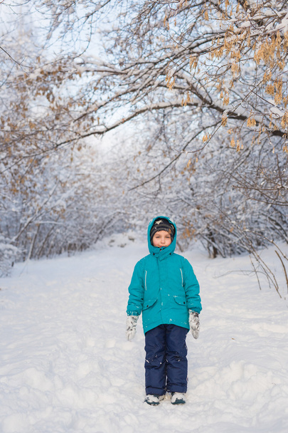 A cute little boy stands in winter park - Zdjęcie, obraz