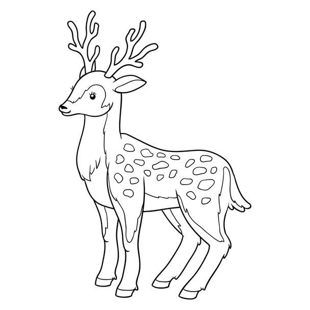 Coloring book for children (deer) - Vector, Image