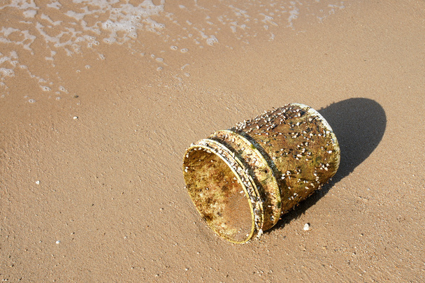 Kaz bir plajda denizin yanında plastik kova bağlı kıskaç - Fotoğraf, Görsel