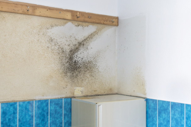 Una pared de baño cubierta con humedad ascendente
 - Foto, Imagen