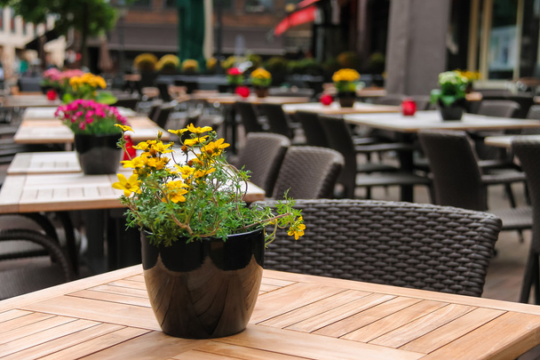 Кастрюли с декоративными цветами на столах уличного кафе
 - Фото, изображение