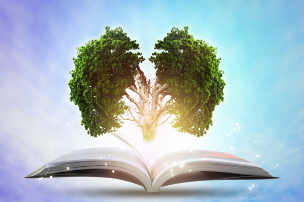 Buch des wachsenden Wissens mit Hirn großer Baum.  - Foto, Bild