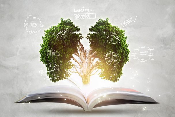 Boek van de groeiende kennis met hersenen grote boom.  - Foto, afbeelding