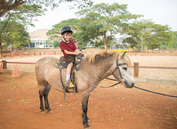 Маленький хлопчик верхи тренує коня
 - Фото, зображення