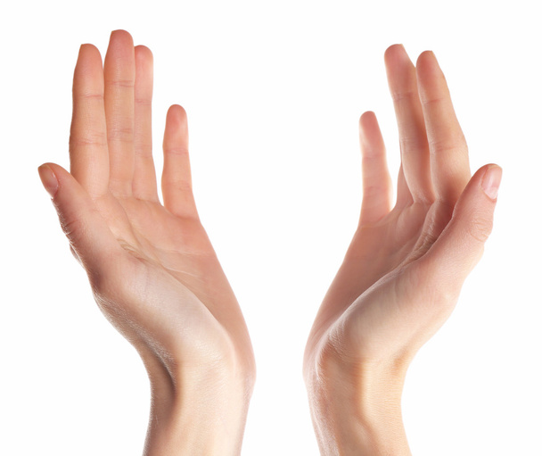 Human hands isolated - Фото, изображение